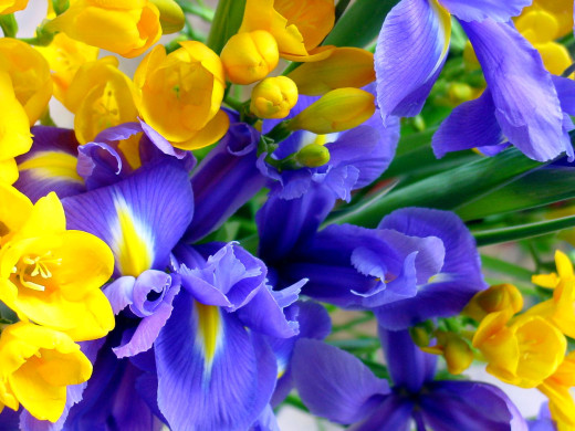 419611 (a): :1600x1200